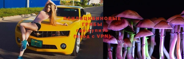 гидра Белоозёрский