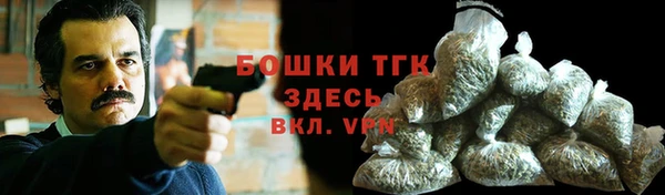 гидра Белоозёрский